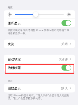 平舆苹果授权维修站分享iPhone轻点无法唤醒怎么办