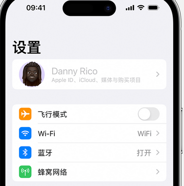 平舆appleID维修服务iPhone设置中Apple ID显示为灰色无法使用 