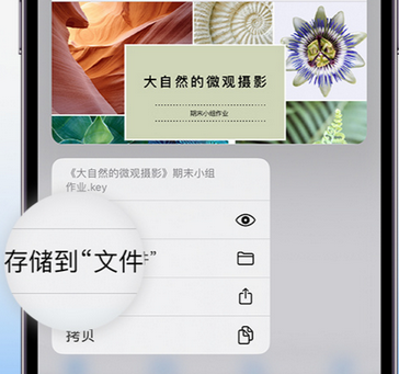 平舆apple维修中心分享iPhone文件应用中存储和找到下载文件