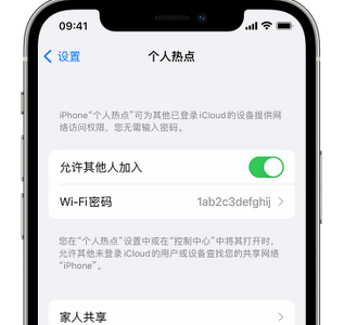 平舆apple服务站点分享iPhone上个人热点丢失了怎么办 