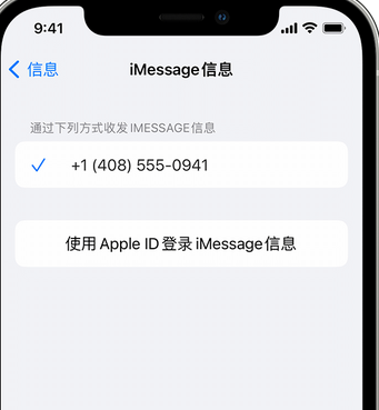 平舆apple维修iPhone上无法正常发送iMessage信息 