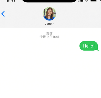 平舆apple维修iPhone上无法正常发送iMessage信息