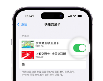 平舆apple维修点分享iPhone上更换Apple Pay快捷交通卡手绘卡面 