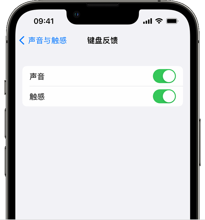 平舆苹果14维修店分享如何在 iPhone 14 机型中使用触感键盘 