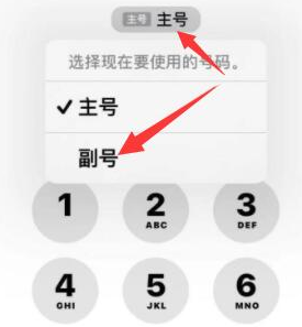 平舆苹果14维修店分享iPhone 14 Pro Max使用副卡打电话的方法 