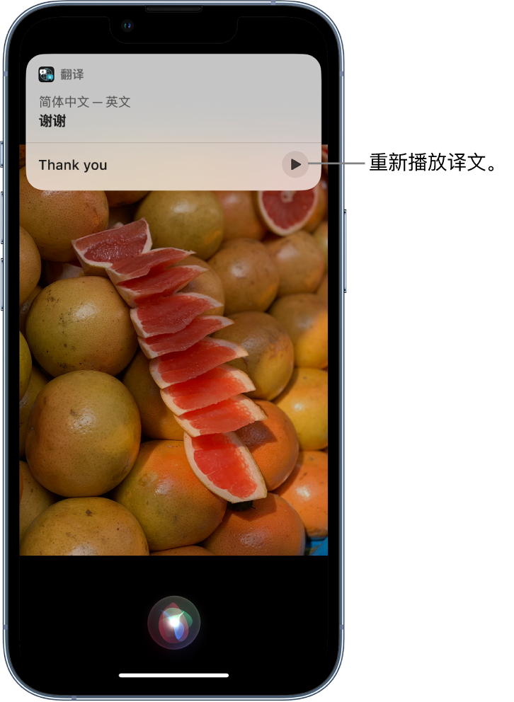 平舆苹果14维修分享 iPhone 14 机型中使用 Siri：了解 Siri 能帮你做什么 