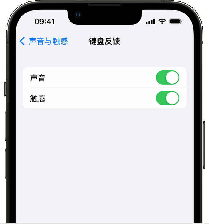 平舆苹果14维修分享iPhone 14 系列机型如何开启键盘声音或触感反馈 