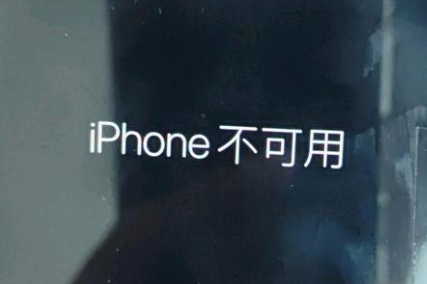 平舆苹果服务网点分享锁屏界面显示“iPhone 不可用”如何解决 