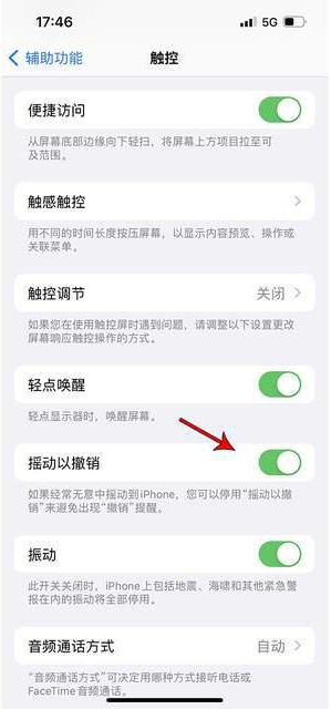 平舆苹果手机维修分享iPhone手机如何设置摇一摇删除文字 