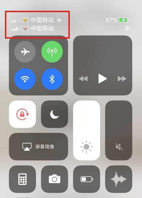 平舆苹果手机维修分享为 iPhone 12 双卡设置标签 